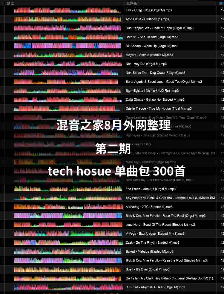 混音之家8月外网整理第二期-tech hosue（300首）